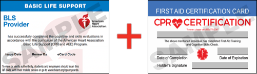 Sample American Heart Association AHA BLS CPR Card Certification and First Aid Certification Card from CPR Certification San Diego