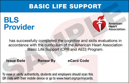 Sample American Heart Association AHA BLS CPR Card Certification from CPR Certification San Diego