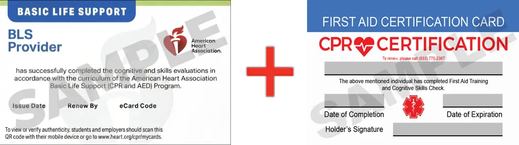 Sample American Heart Association AHA BLS CPR Card Certification and First Aid Certification Card from CPR Certification San Diego